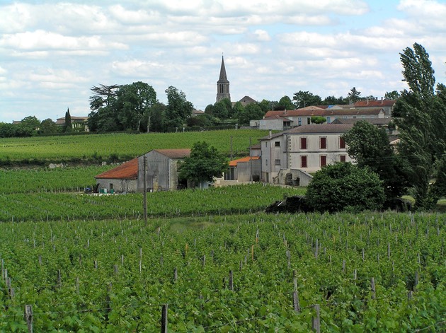 10.Church&VineyardsInEmilion