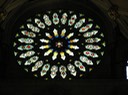 39YorkMinster Rosette