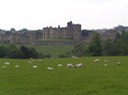 59Alnwick Castle