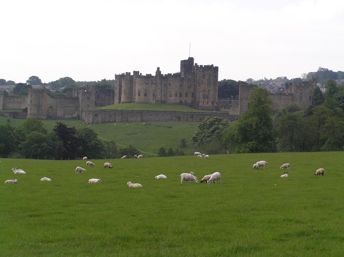 59Alnwick Castle