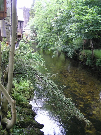 63Grasmere Stream