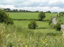 65Landscape at Cashel