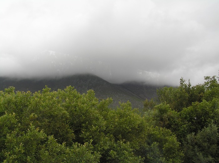 90Misty Kerry Mountains